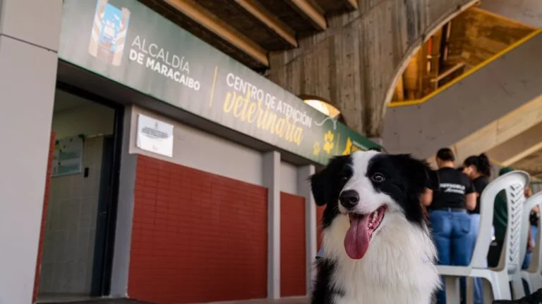 Maracaibo inauguró el primer Centro de Atención Veterinaria a bajo costo