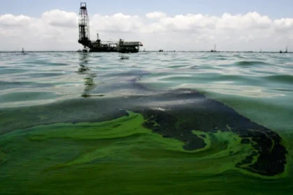Clima 21: “No hay mejoría en derrame de petróleos”