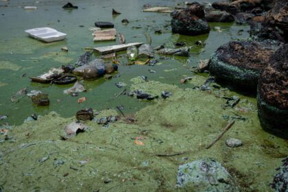 Toneladas de basura son extraídas del Lago de Maracaibo