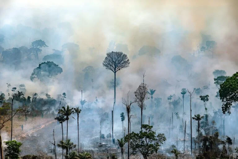 Colombia ejecuta plan para prevenir incendios en la Amazonía