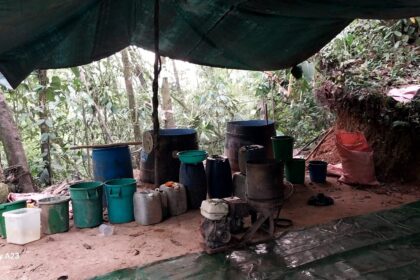 Fuerzas bolivianas contra el narcotráfico desmantelan 25 laboratorios de cocaína