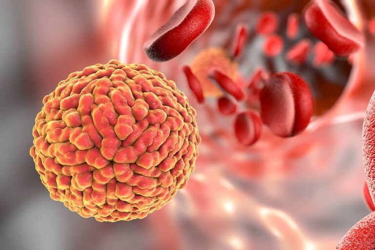 Utilizan el virus del Zika para luchar contra el neuroblastoma infantil