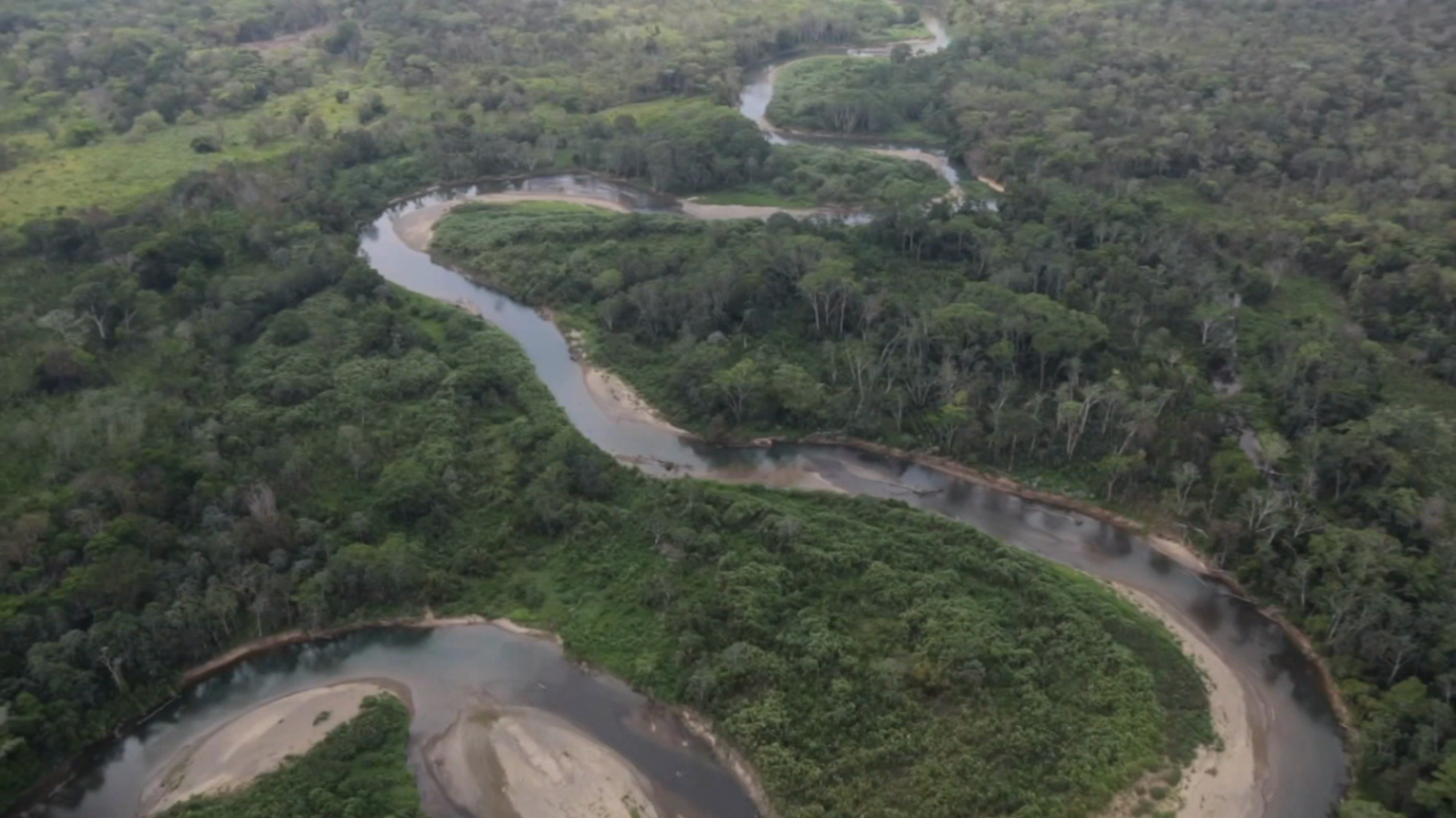 Más de 68.000 migrantes cruzante la Selva del Darién en Panamá