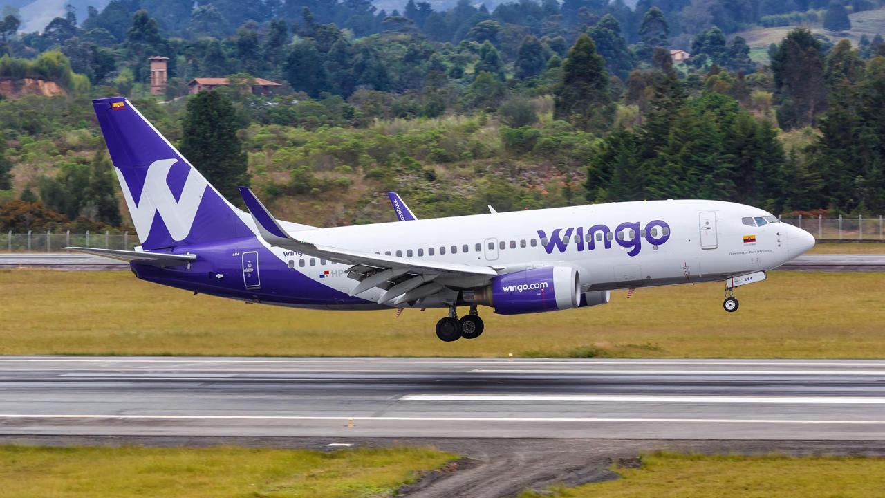 Wingo prevé un crecimiento del 16% en el tráfico de pasajeros y expandir sus rutas hacia Venezuela en 2024