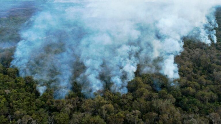 Emisiones récord por incendios forestales en Brasil, Venezuela y Bolivia desde 2003