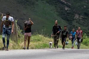 Caminantes venezolanos regresan a la vía Cúcuta-Bucaramanga