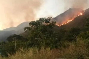 Incendios forestales en Caracas, Carabobo y Miranda amenazan a la población