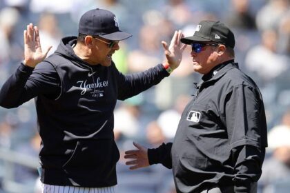 Aaron Boone, manager de los Yankees fue expulsado de un juego por culpa de un fanático