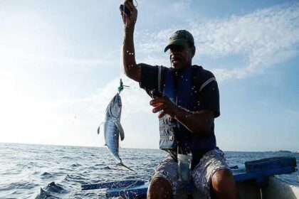 Auge pesquero en Zulia y Nueva Esparta impulsa la economía nacional