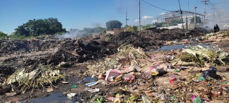 Recolectan más de 3.500 toneladas de basura en el mercado municipal Las Pulgas