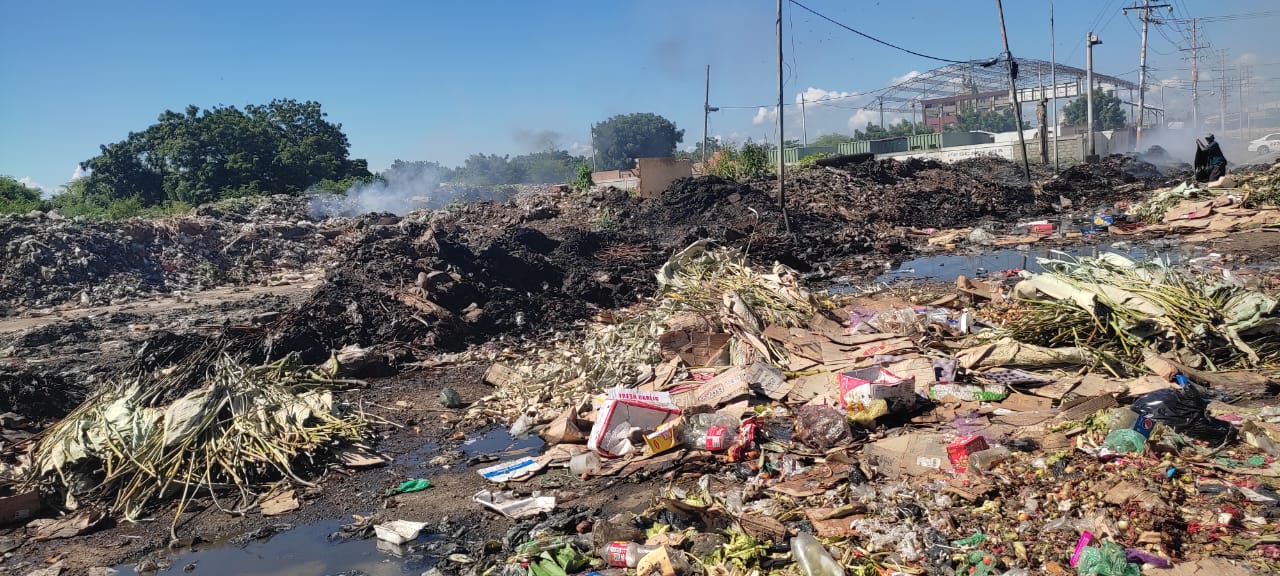 Recolectan más de 3.500 toneladas de basura en el mercado municipal Las Pulgas Recolectan más de 3.500 toneladas de basura en el mercado municipal Las Pulgas