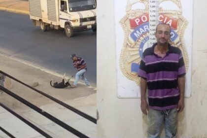 Aprehendido sujeto en el estado Zulia por maltrato animal, informó Fiscal General