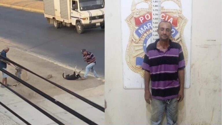 Aprehendido sujeto en el estado Zulia por maltrato animal, informó Fiscal General
