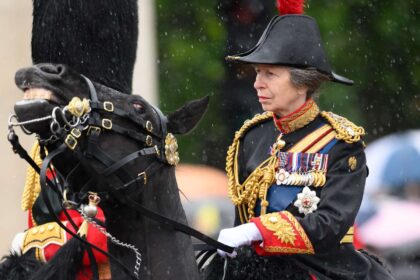Princesa Ana de Inglaterra hospitalizada por fuerte conmoción cerebral