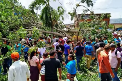 Caída de árbol centenario en Tucupita deja dos muertos