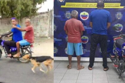 Aprehensión de sujetos por maltrato animal en el estado Zulia