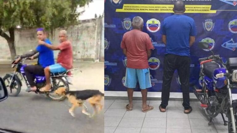 Aprehensión de sujetos por maltrato animal en el estado Zulia