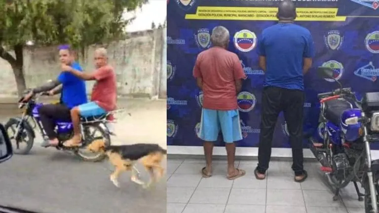Aprehensión de sujetos por maltrato animal en el estado Zulia