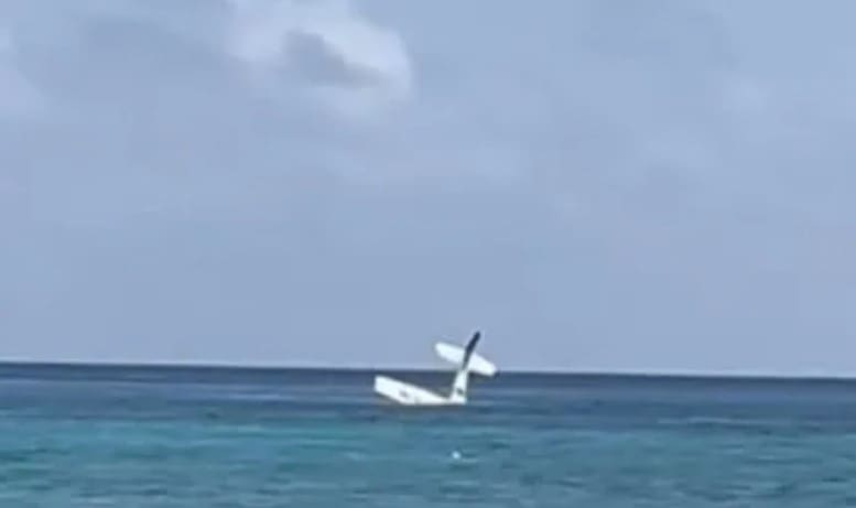 Avioneta se desploma en Cozumel: Piloto rescatado y sin heridas graves Avioneta se desploma en Cozumel: Piloto rescatado y sin heridas graves