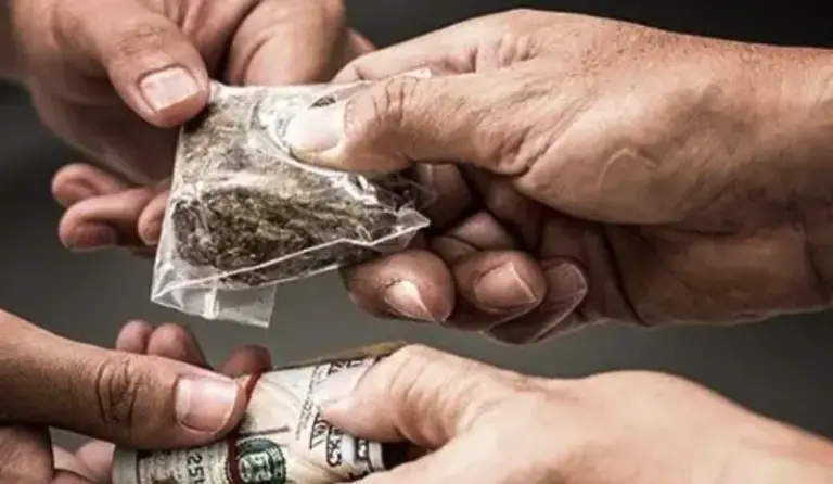 Desmantelan red de narcotráfico en Italia, España y Alemania