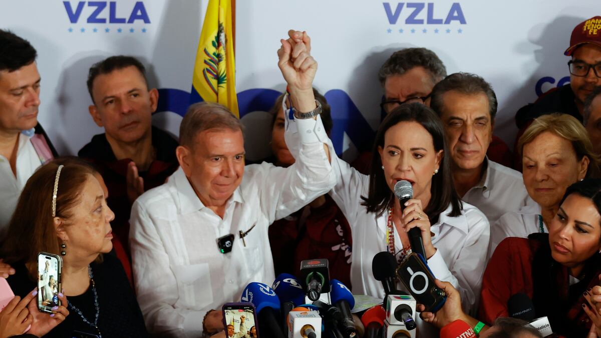Edmundo González: "Las mentiras tienen patas cortas" Edmundo González elecciones Venezuela