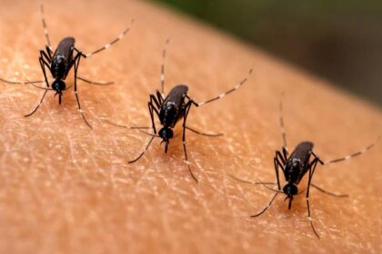 Aumentan casos de dengue en El Salvador: 35 niños han sido internados en 24 horas