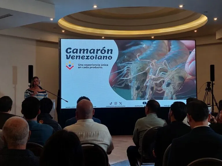 Lanzan campaña para promover el consumo del camarón venezolano