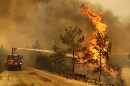 Turquía evacúa casi 4.000 habitantes por incendios