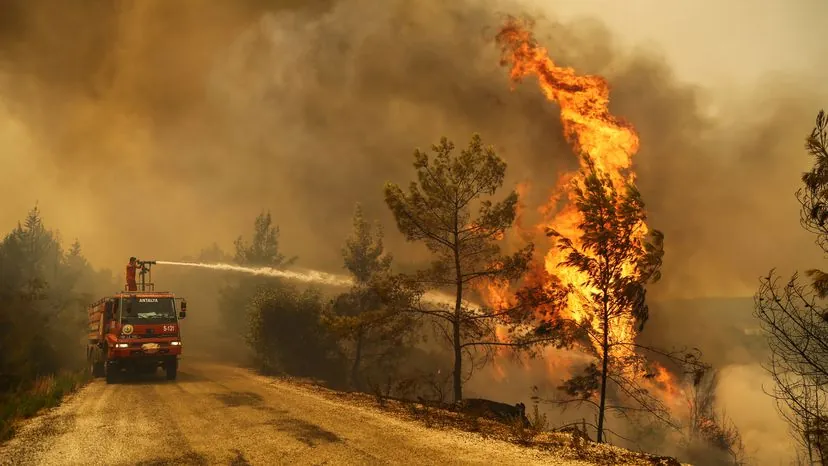 Turquía evacúa casi 4.000 habitantes por incendios