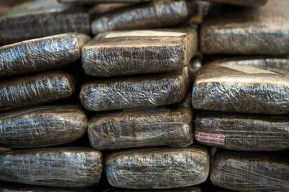 Policía Metropolitana de Valledupar incauta 500 gramos de marihuana en la Terminal de Transporte