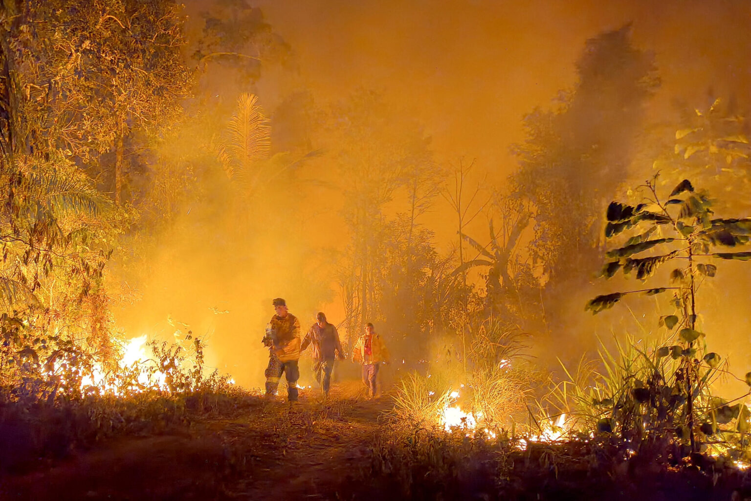 Gobierno de Bolivia declaró "emergencia nacional" por incendios forestales