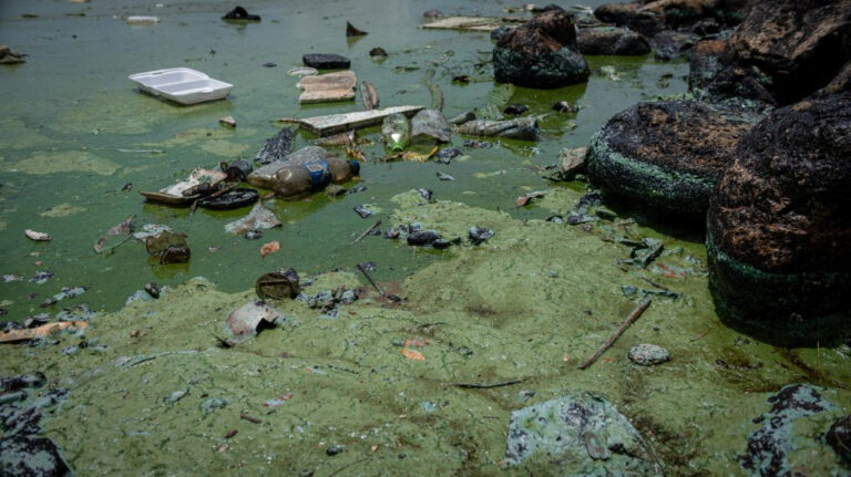 Iclam realiza monitoreo ambiental en el Lago de Maracaibo