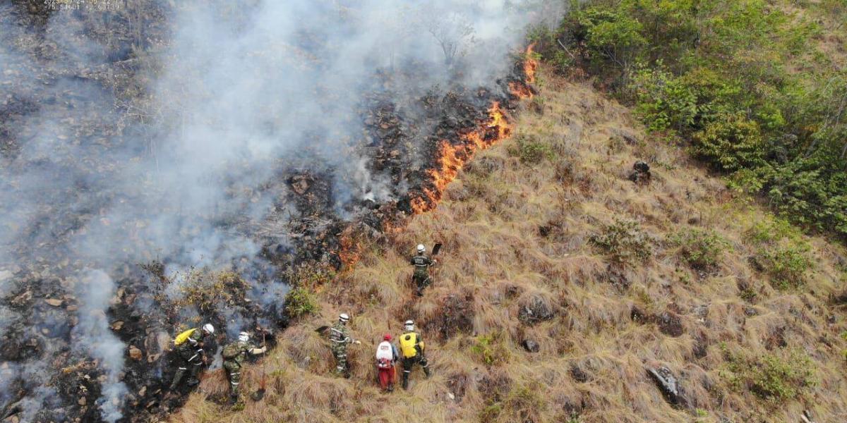 Incendios forestales arrasan más de 44000 hectáreas en Colombia Incendios forestales arrasan más de 44000 hectáreas en Colombia