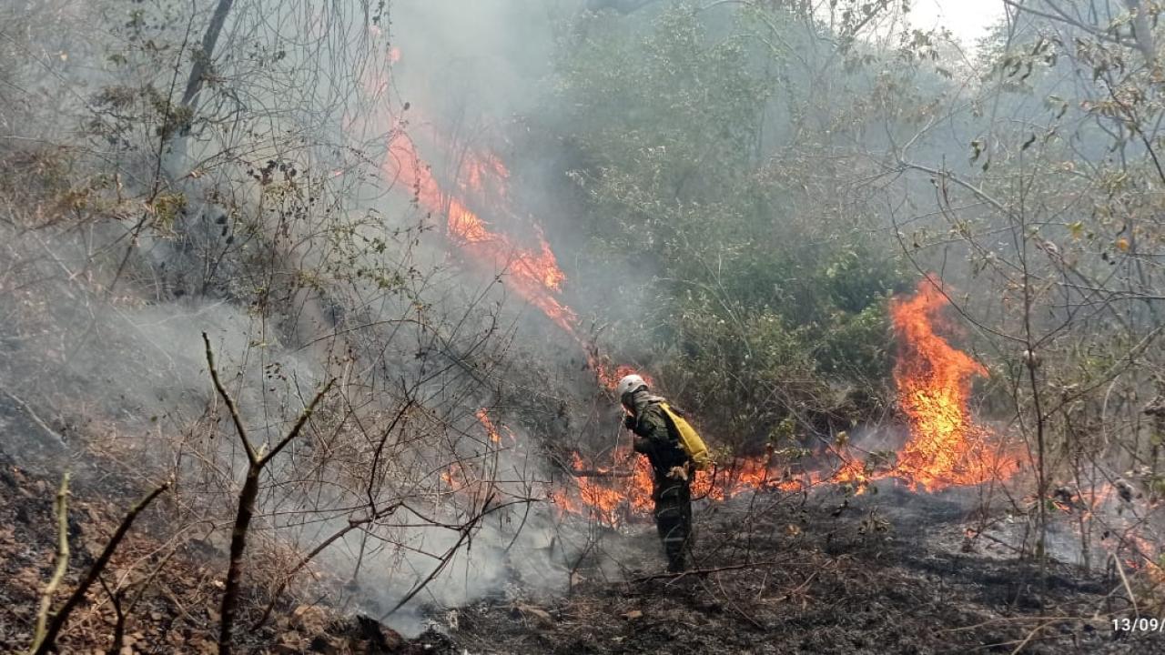 Gobernador del Huila declara calamidad pública por incendios forestales