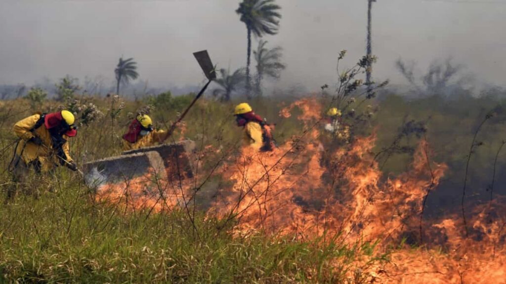 Gobierno de Bolivia declaró "emergencia nacional" por incendios forestales