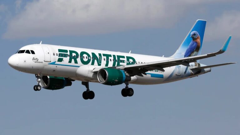 Detienen a pasajero de California que intentó estrangular a una azafata en pleno vuelo