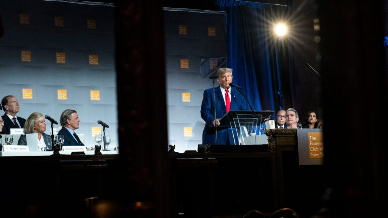 Nuevo proyecto de criptomonedas respaldado por Donald Trump, inicia con dificultades