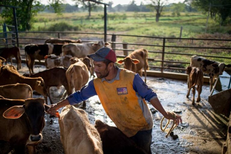 Productor agropecuario Hernán López secuestrado en Machiques