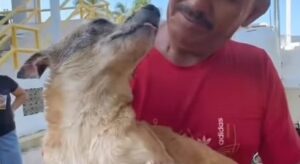 Fundación X Lago de Maracaibo rescata a mascota afectada por contaminación