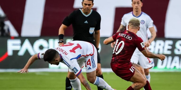vinotinto