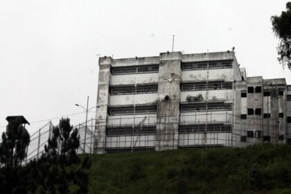 ramo verde