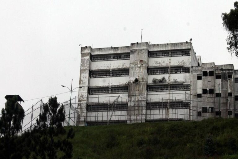 ramo verde