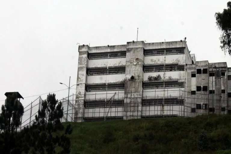 ramo verde