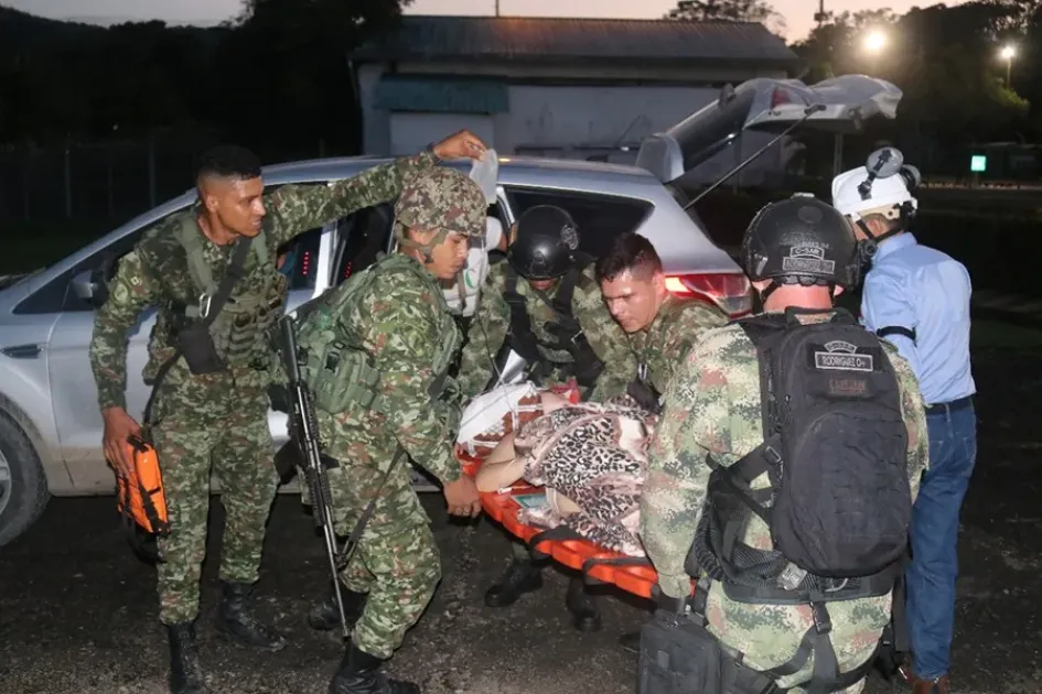63 disidentes de las FARC entregan armas en medio de la violencia en Catatumbo 63 disidentes de las FARC entregan armas en medio de la violencia en Catatumbo