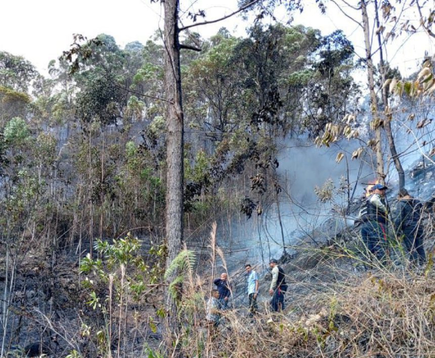 Avioneta se estrella en Miranda y causa la muerte de 3 militares Avioneta se estrella en Miranda y causa la muerte de 3 militares