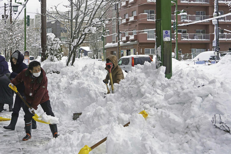 Japón suspende actividades por intensa nevada