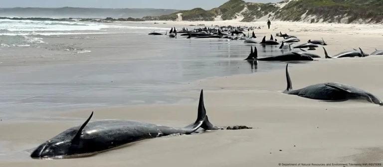 australia