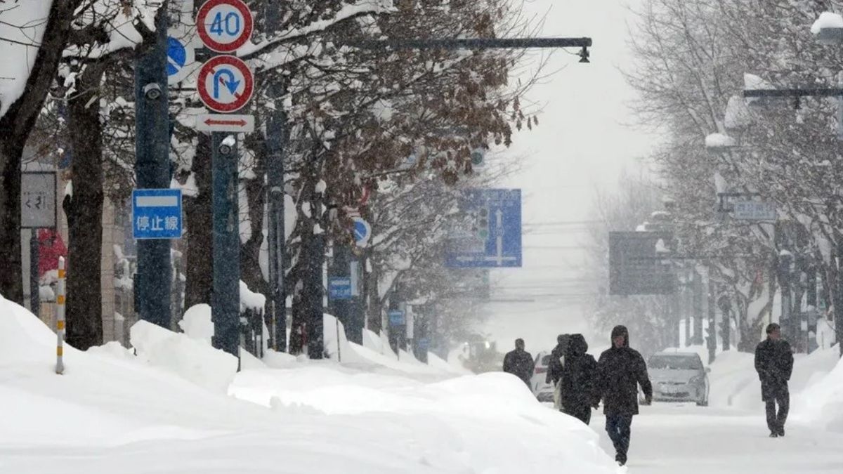 Japón suspende actividades por intensa nevada