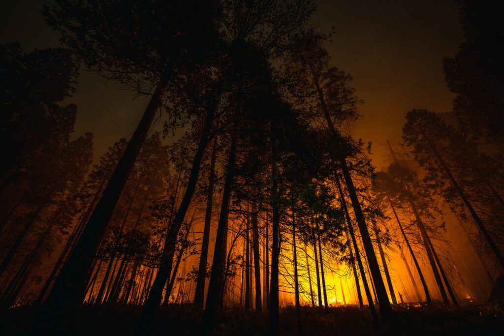 Incendios forestales descontrolados en Carolina del Norte y Carolina del Sur
