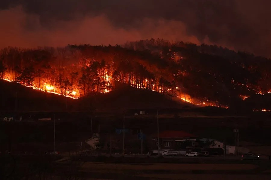 Incendios devastan el sudeste de Corea del Sur Incendios devastan el sudeste de Corea del Sur